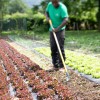 Binadora hoja en V NaturOvert