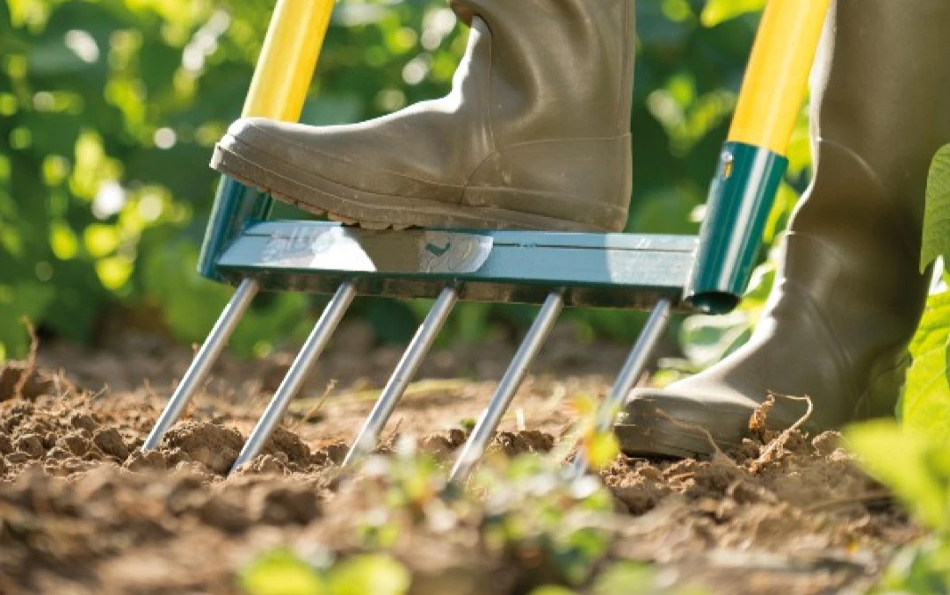 El diseño según Leborgne
