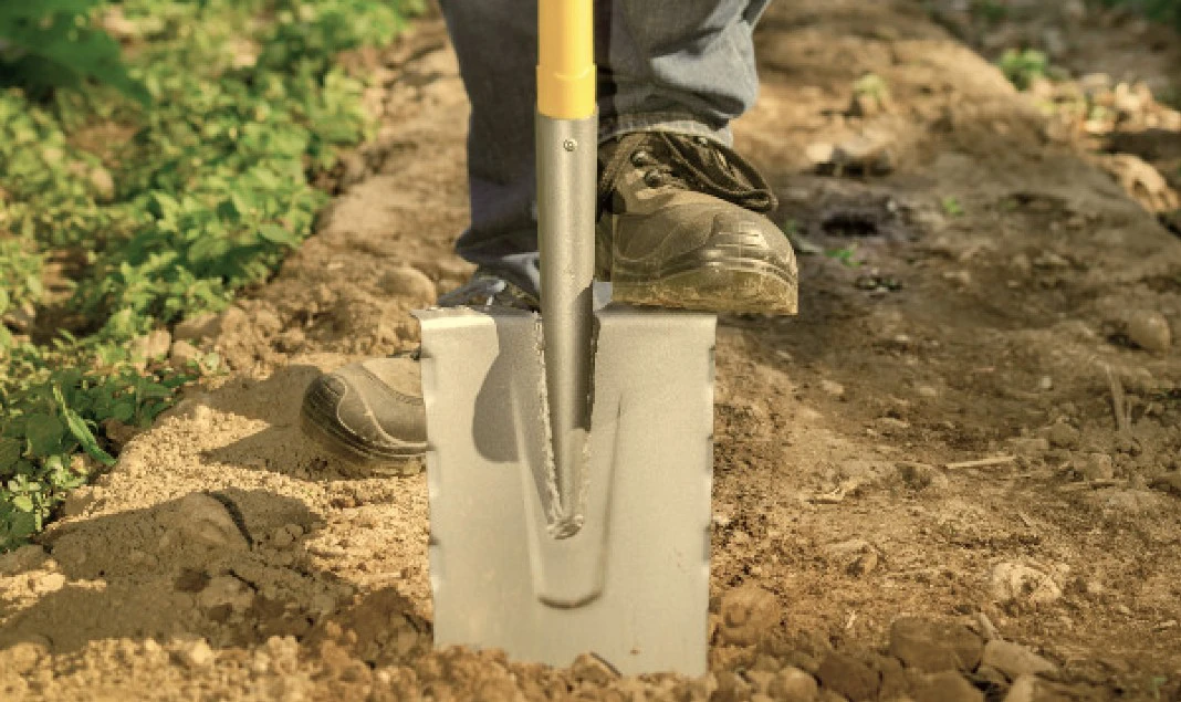 Denis y François Lozac'hmeur tomarán su relevo