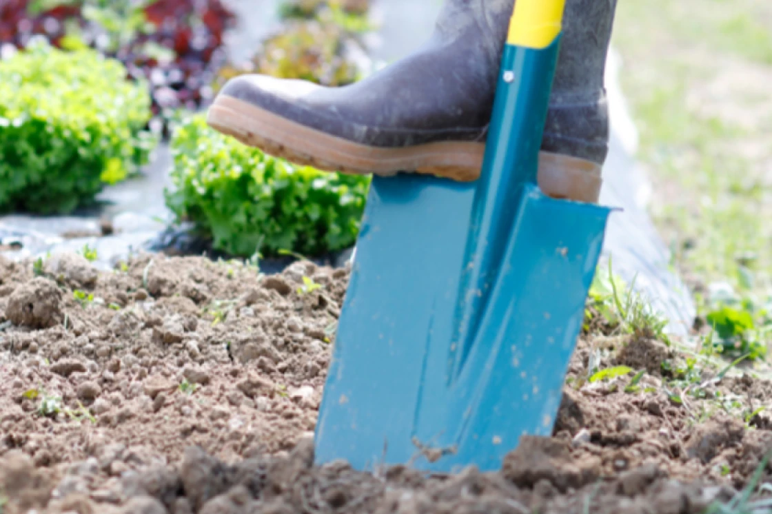 Cultiva la naturaleza en Leborgne