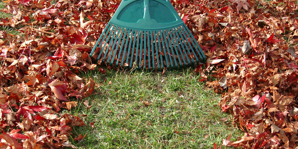 Bien utiliser un balai XL