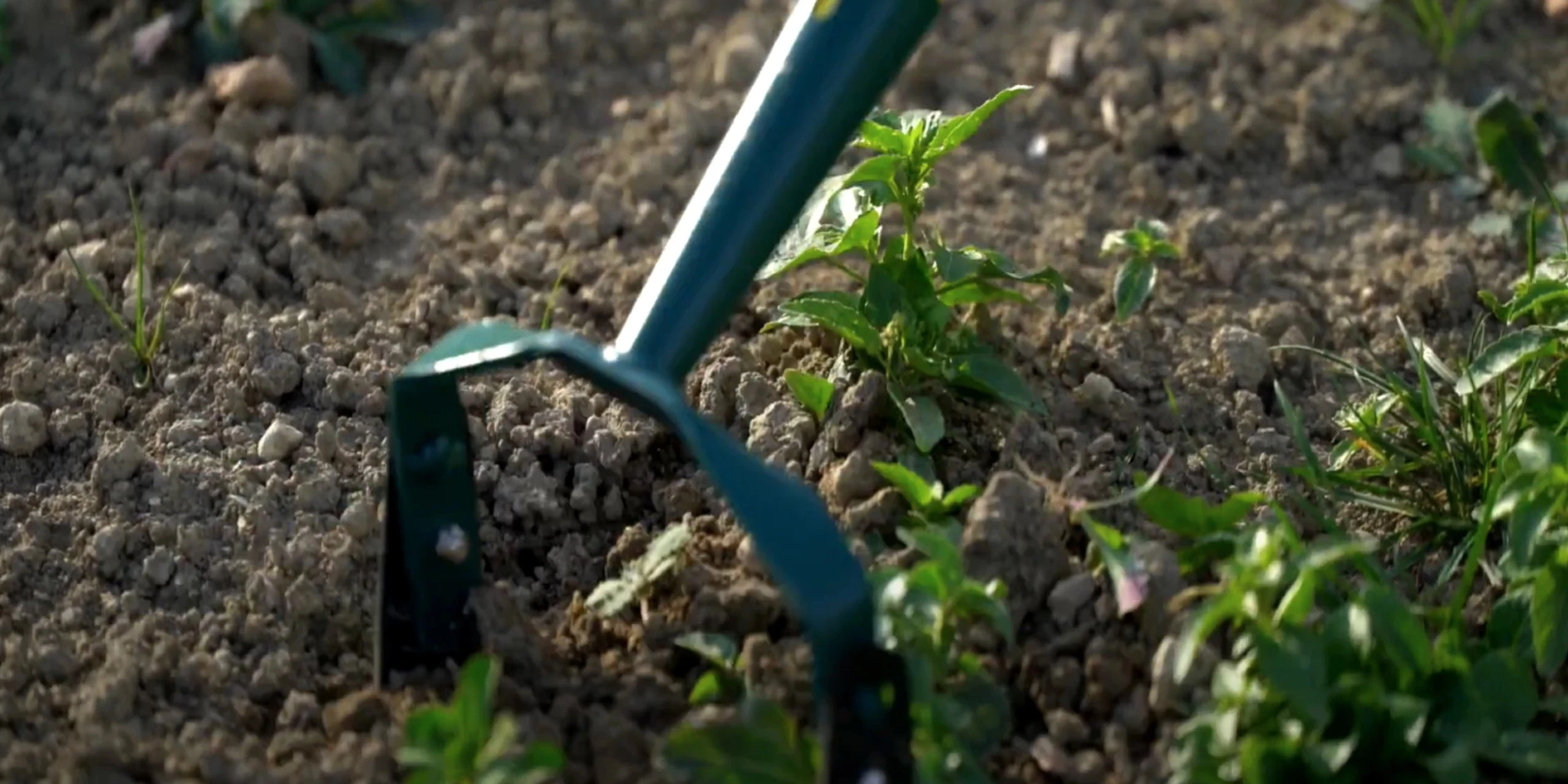 Nuestro compromiso de RSE