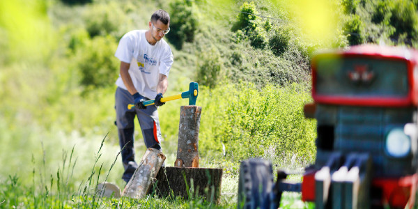 Cortar y tronzar madera para calefacción
